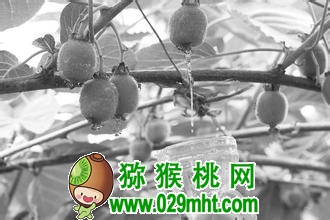豪门国际官方网站图片