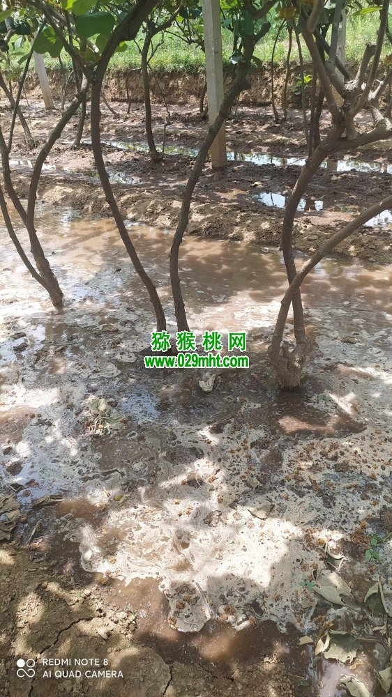 豪门国际 f0fab
