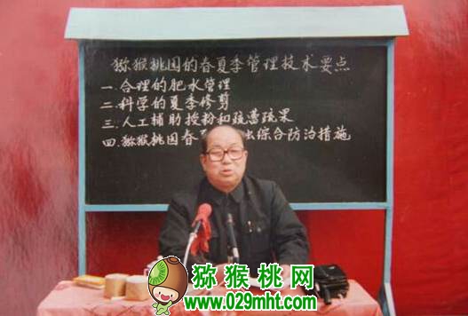 张清明和他的豪门国际猕猴桃人生