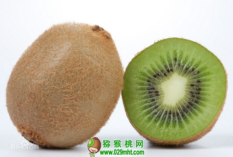 豪门国际官方网站图片