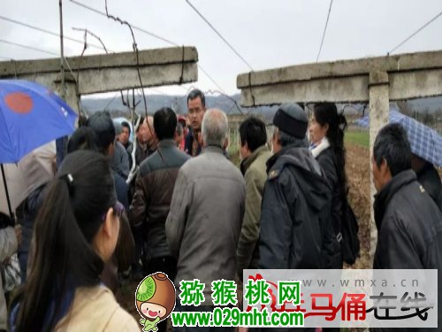 豪门国际官方网站图片