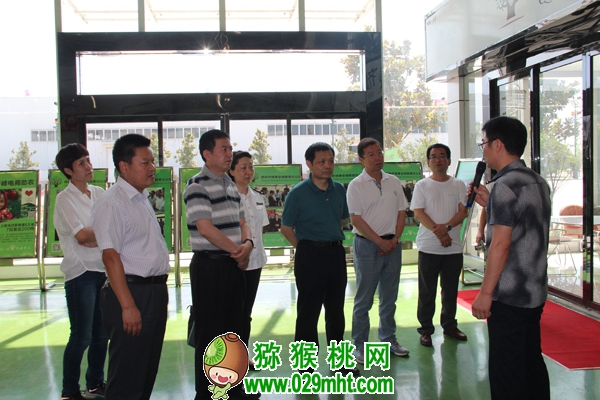 豪门国际官方网站图片