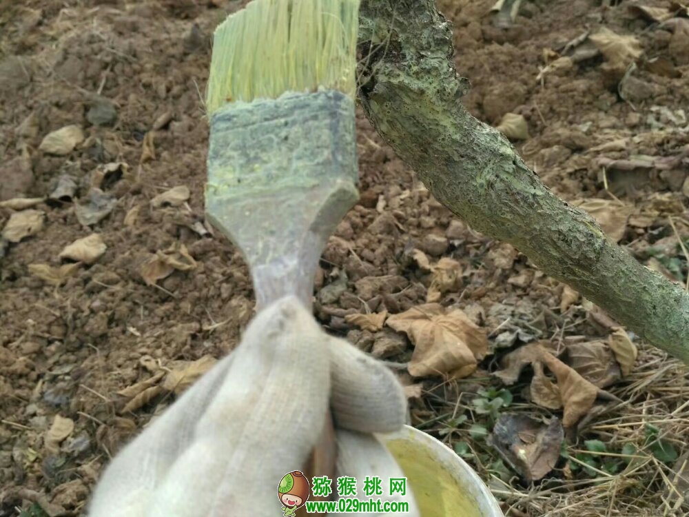 豪门国际 1b9fc