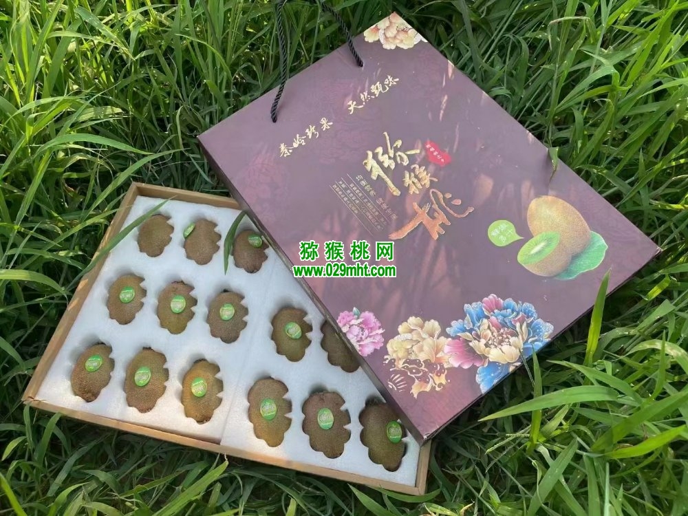 豪门国际 9df58