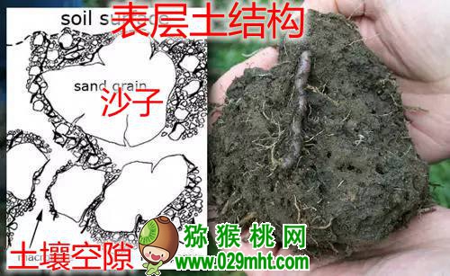 豪门国际 bf34f