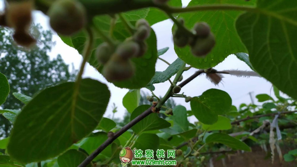 豪门国际 3f834
