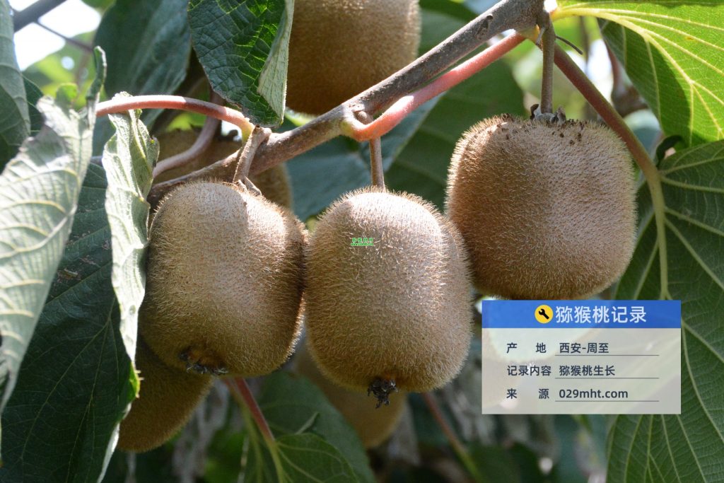 豪门国际官方网站图片