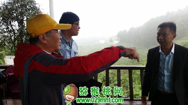 豪门国际官方网站图片