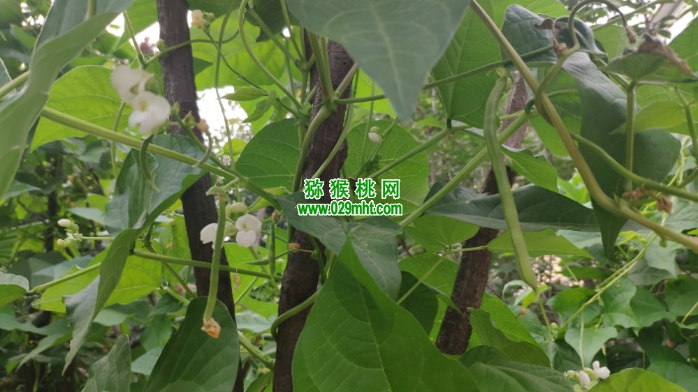 豪门国际 dd936