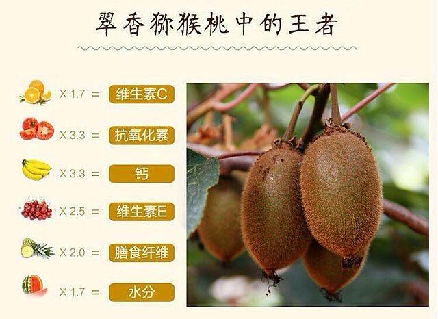 豪门国际 a7954
