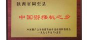 “豪门国际之乡”周至豪门国际猕猴桃获取荣誉