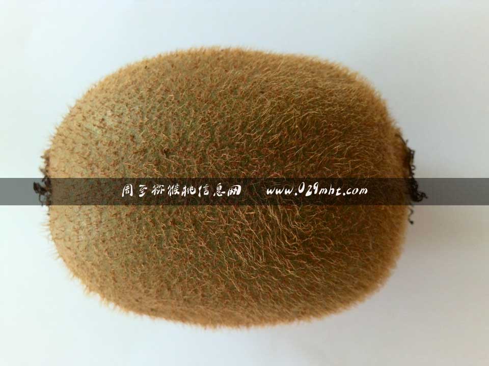 2014年8月5日海沃德豪门国际猕猴桃画报
