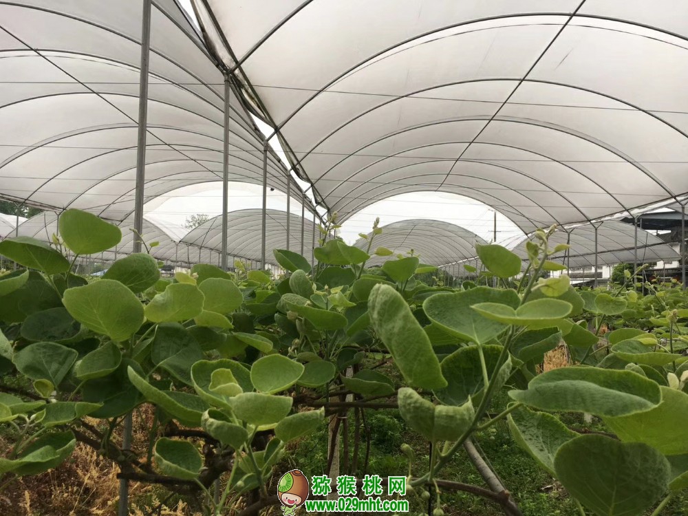 豪门国际 ba3f6