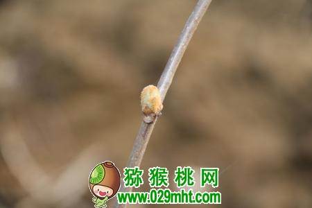 豪门国际 92c73