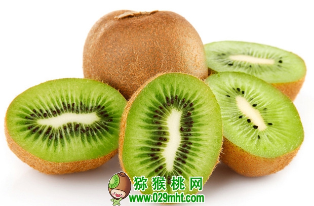 豪门国际官方网站图片