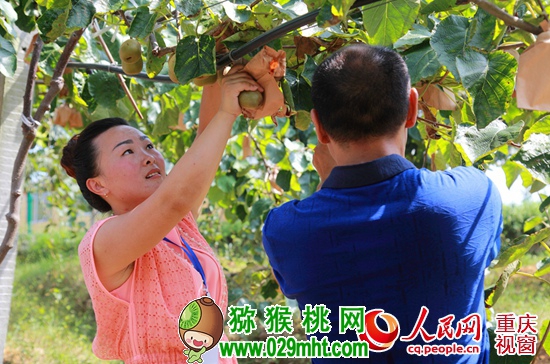 豪门国际 368b5