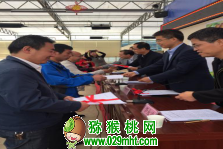豪门国际 40724