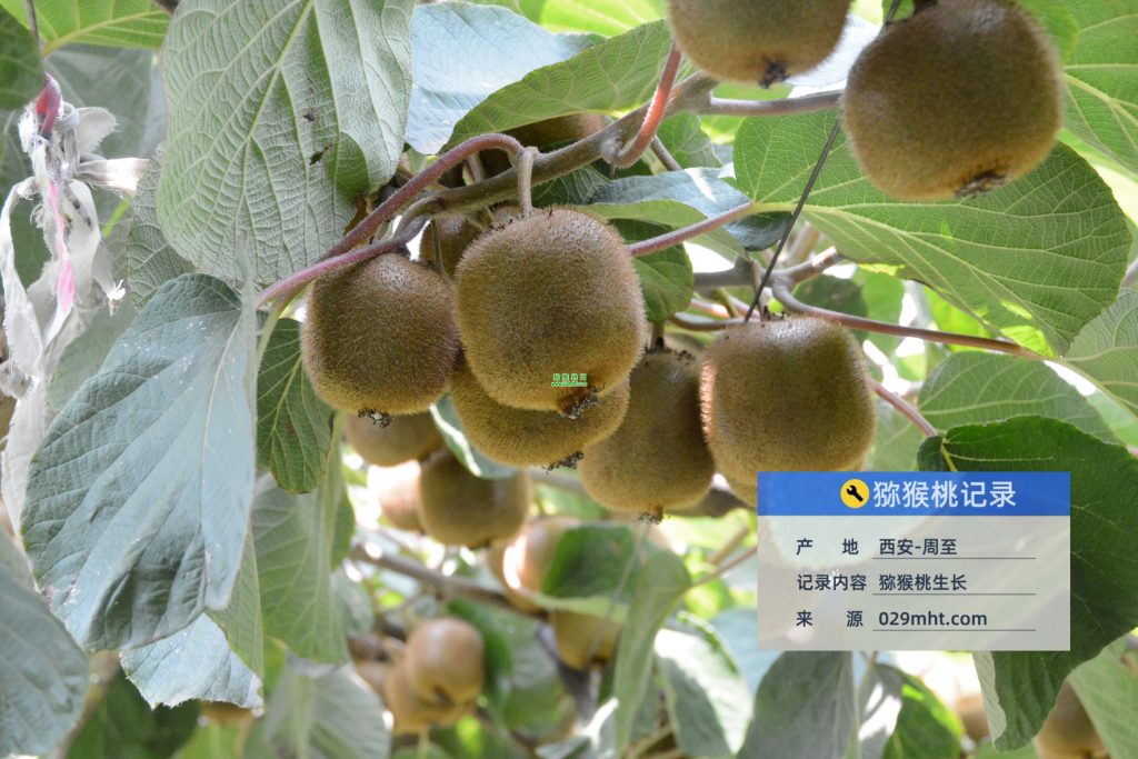 豪门国际官方网站图片