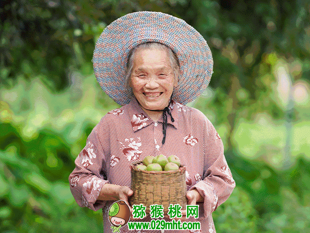 豪门国际官方网站图片