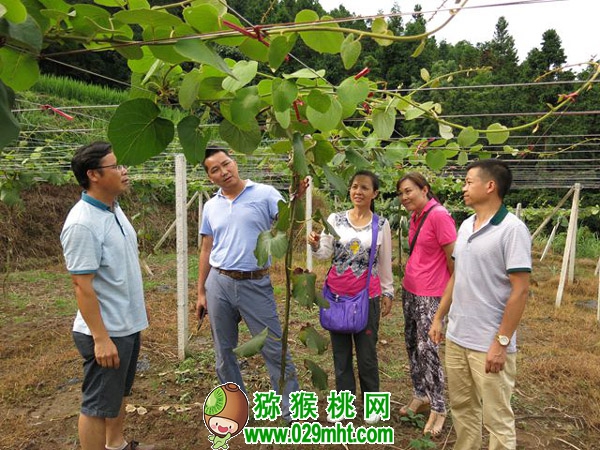 豪门国际官方网站图片