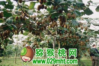 豪门国际官方网站图片