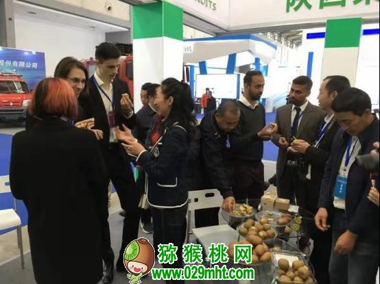 豪门国际 e24e1