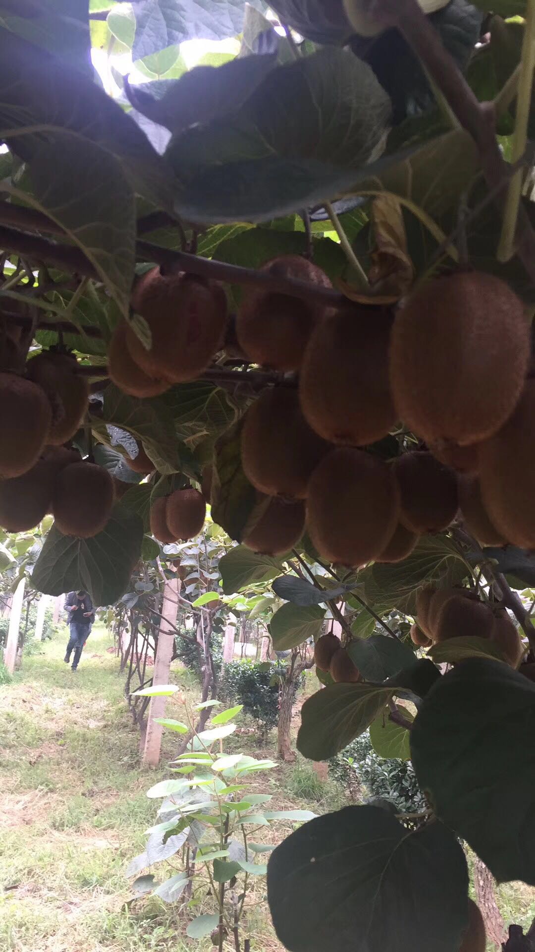 豪门国际 67c86
