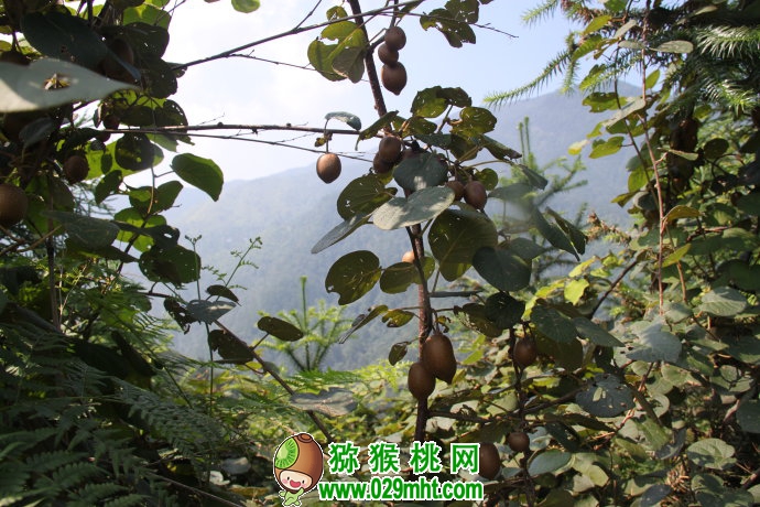 豪门国际官方网站图片