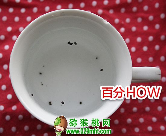 <a href=http://www.linux-china.com target=_blank class=infotextkey />奇异果</a>催芽种植的步骤