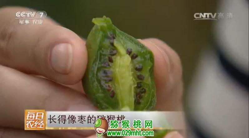 豪门国际官方网站图片