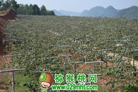 豪门国际官方网站图片