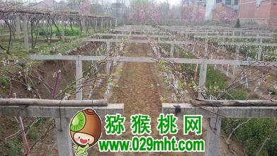 豪门国际官方网站图片