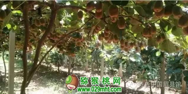 豪门国际官方网站图片