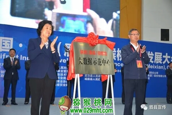 豪门国际官方网站图片