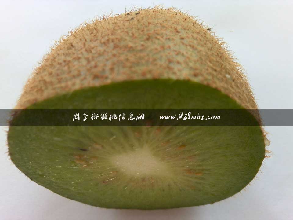 2014年8月5日海沃德豪门国际猕猴桃画报