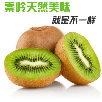 豪门国际 ee7a4