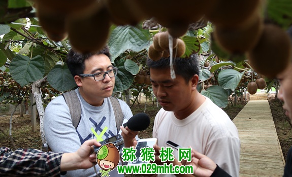豪门国际官方网站图片